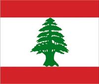 الملحق اللبناني يُشيد بتطوير شبكة كهرباء مصر ويدعو بنقل التجربة لبلاده