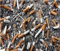 680 مليون طن من النفايات.. «البيئة» تئن بسبب الآثار الضارة لـ«التبغ»