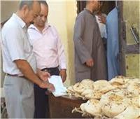 ضبط 71 مخبزا مخالفا في الإسكندرية 