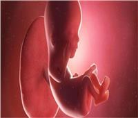دراسة: الحوامل أكثر عرضة للإصابة الحادة بفيروس كورونا    