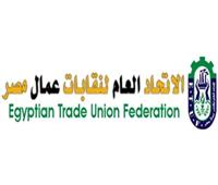 «عمال مصر»: الاتهامات الدولية لا تراعي الجهود المصرية في مجال حقوق الإنسان 