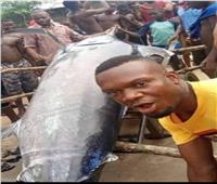 نيجيري يصطاد سمكة قيمتها 2.6 مليون دولار ويأكلها مع اصدقائه.. صور