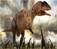 احتفاء عالمي باكتشاف أول «ديناصور» ترقد على صغارها
