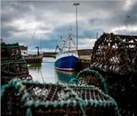 بريطانيا والاتحاد الأوروبي والنرويج يوقعون اتفاقية حول حصص الصيد