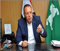 محافظ الشرقية يكشف تفاصيل خطة تطوير «الحسينية»