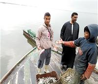 بحيرات مصر | الوصول للاكتفاء الذاتي من الأسماك بنسبة ٨٥٪