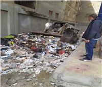 إزالة مخلفات القمامة من إحدى مدارس الغربية| صور
