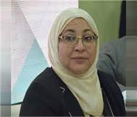 نائب محافظ القاهرة: المرآة المصرية تعمل على حفظ الهوية 