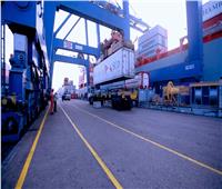 تداول 142 ألف طن بضائع استراتيجية بميناء الإسكندرية