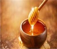 غني بالفيتامينات والنحاس والحديد... فوائد العسل الجبلي لصحة الإنسان