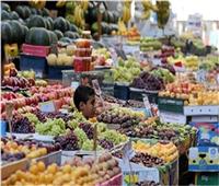 أسعار الفاكهة في سوق العبور اليوم...اليوسفي يبدأ من 3.5 جنيه 