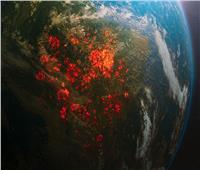 خريطة تفاعلية تكتشف «الحياة المفقودة» على الأرض| صور 