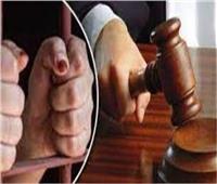 تأجيل محاكمة المتهم بالتستر على «متحرش المعادي» لـ11 أبريل