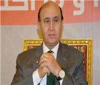 مميش: مصر لن تدفع تعويضات فى جنوح سفينة قناة السويس
