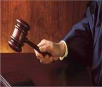 جنايات المنيا تستأنف محاكمة 20 محام بمغاغة بتهمة إهانة القضاة