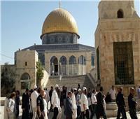 بالتزامن مع «عيد الفصح اليهودي».. مئات المستوطنين يقتحمون المسجد الأقصى