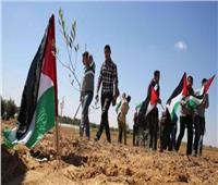 في يوم الأرض.. الأزهر يجدد رفضه لمحاولات تغيير الهوية الديموغرافية لفلسطين