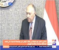  وزير الخارجية: علاقات مصر وكرواتيا تمتاز بالقوة والترابط