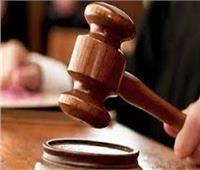 تأجيل محاكمة المتهم بقتل شقيقين في «الشرابية» لـ27 أبريل