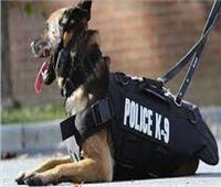 «كلب بوليسي» يتسبب في استقالة ضابط شرطة
