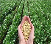 فوائد «الزراعة العضوية» بعد صدور اللائحة التنفيذية للقانون