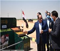 الرئيس السيسي يوجه بتذليل العقبات أمام الشركات الزراعية بمشروع «مستقبل مصر»