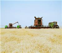 محافظ أسوان :  80 % زيادة في توريد القمح و تيسيرات كبيرة للمزارعين 