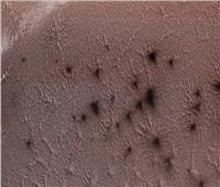 العلماء يكشفون لغز «عناكب المريخ» العملاقة 