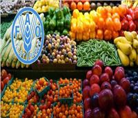 أسباب ارتفاع أسعار السلع الغذائية لشهر مارس بمؤشر منظمة الأغذية والزراعة