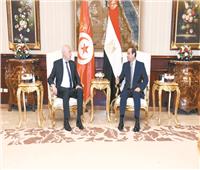 مصر وتونس.. علاقات راسخة ومصير مشترك