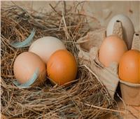 معلومات غير صحيحة «شائعة» عن البيض