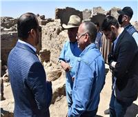 سفير الإمارات يحضر المؤتمر الصحفي للإعلان عن الكشف الأثري في الأقصر| صور