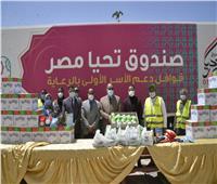 محافظ أسيوط يستقبل 7 سيارات مواد غذائية ضمن «أبواب الخير» لصندوق تحيا مصر 