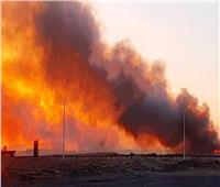 السيطرة على حريق بالغابة الشجرية بـ«الغردقة»