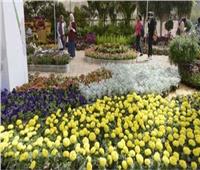 «الزراعة» تعلن توصيات مؤتمر النهوض بصناعة الزهور في مصر