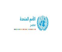 الأمم المتحدة: أحمد مدكور لا يمثلنا.. ونعبر عن آرائنا بالبيانات الرسمية
