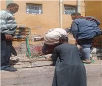 حملة نظافة ومتابعة للإجراءات الاحترازية بقرية في المنيا