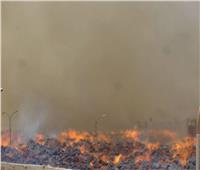 السيطرة على حريق بمصنع سكر ملوي في المنيا 