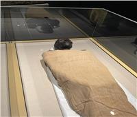في اليوم الأول... 2000 زائر شاهدوا قاعة المومياوات الملكية بمتحف الحضارة