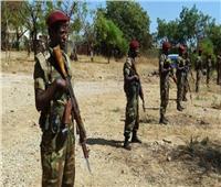 جماعة مسلحة تسيطر على مقاطعة شمال إثيوبيا