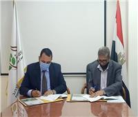 الريف المصري توقع اتفاقا لتوريد 84 ألف شتلة زيتون.. صور