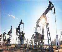 ارتفاع أسعار النفط رغم تفاقم وضع كورونا في الهند