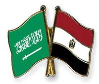 13% زيادة في الصادرات المصرية إلى السوق السعودي خلال عام 2020  