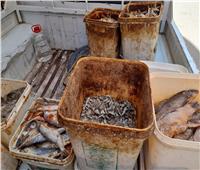 ضبط 165 كيلو أسماك مملحة فاسدة فى حملة بالأقصر