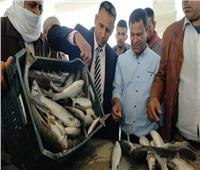 وزير الزراعة يعلن افتتاح موسم الصيد في بحيرة البردويل
