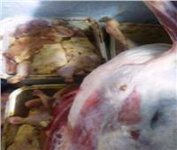  ضبط 340 كيلو أسماك مملحة  ولحوم فاسدة بالشرقية