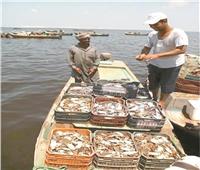 محافظ شمال سيناء: زيادة إنتاج أسماك بحيرة البردويل أدى لخفض الأسعار   