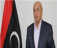 رئيس النواب الليبي والمبعوث الأممي يبحثان الخيارات المتاحة للانتخابات