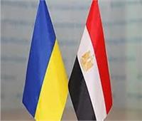 مجلس الإعمال «المصري الأوكراني» يضع استراتيجية جديدة للتعاون الاقتصادي