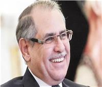 سفير مصر في روسيا: 50 شركة وقعت على عقود الاستثمار بشرق بورسعيد والسخنة.. فيديو